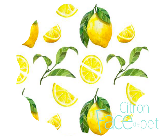 Serviette hygiénique lavable citron