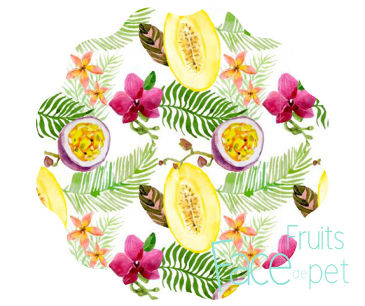 Serviette hygiénique lavable fruité